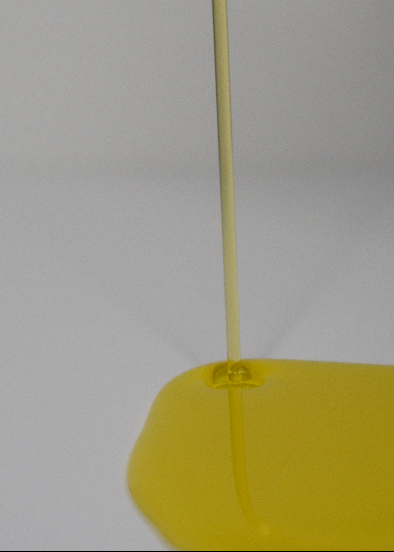 lightweight golden face oil for sesitive skin